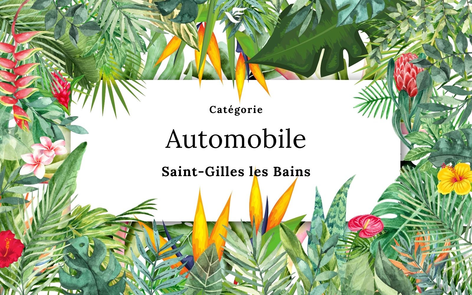 Automobile Saint-Gilles les Bains, Réunion